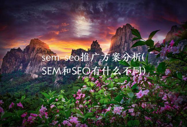 sem seo推广方案分析(SEM和SEO有什么不同)